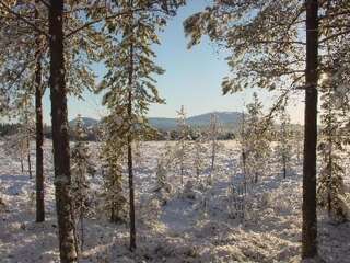 Дома для отпуска Holiday Home Jänkäluppo i Экясломполо Дом для отпуска-10